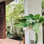 House For Rent Saigon Cribs 4