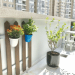 Photos 2023 12 19 19 24 06 2