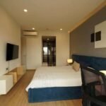 Rooftop Garden Apartment Saigon Cribs 5