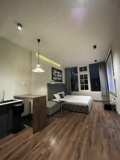 Saigon Cribs Studio Apartment Downtown 1