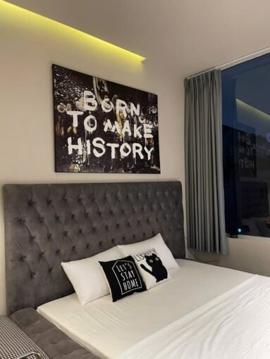 Saigon Cribs Studio Apartment Downtown 6