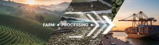 Vietnam Coffee Guide 2025 600x600