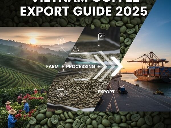 Vietnam Coffee Guide 2025 600x600