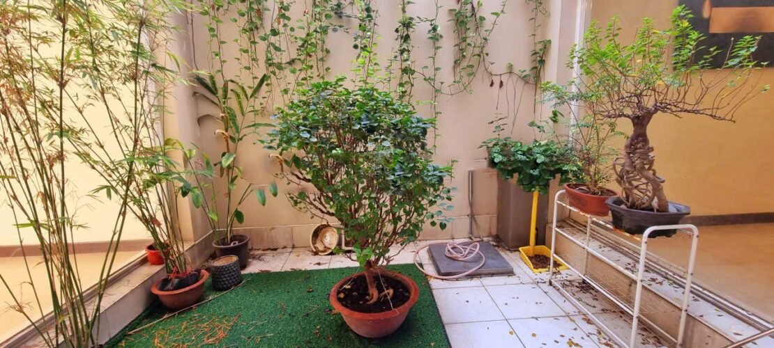 Villa For Rent Saigon Cribs 6