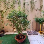 Villa For Rent Saigon Cribs 6