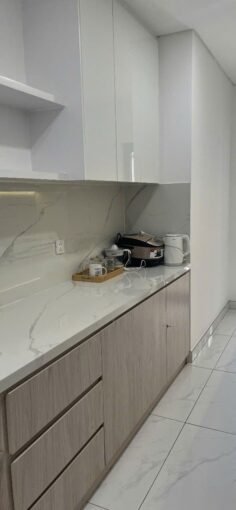 2BR Apartment For Rent Airport HCMC Saigon Cribs (8)