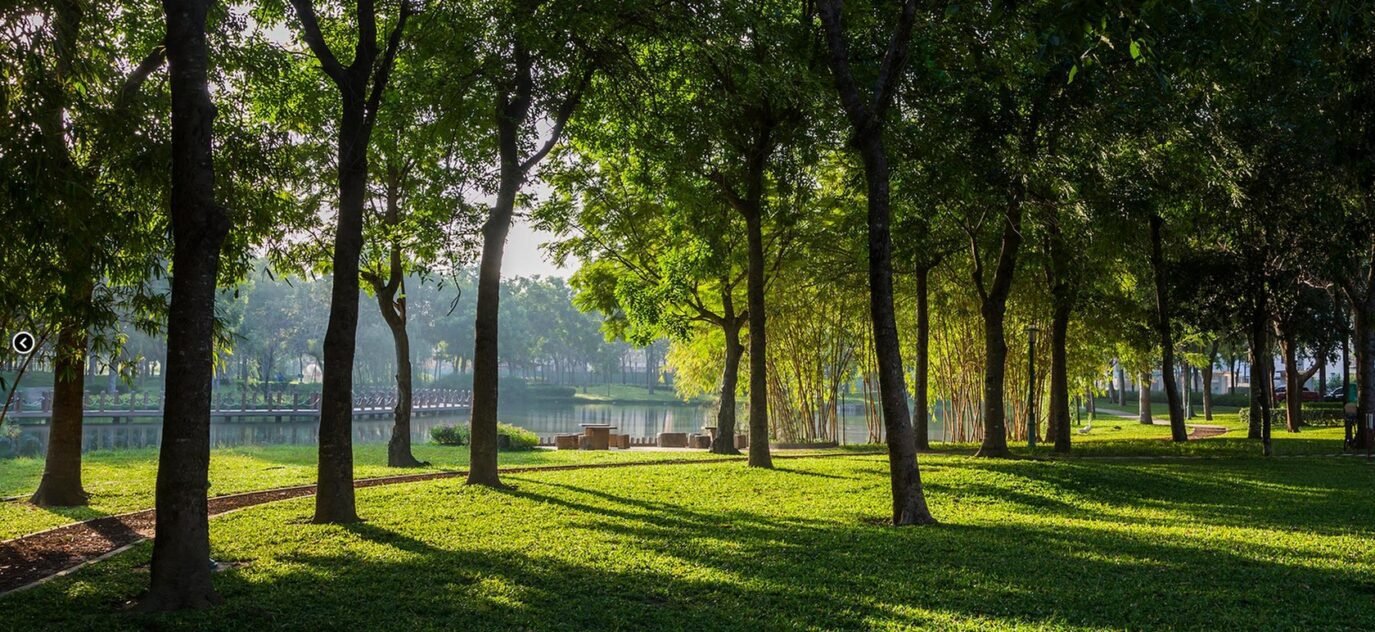 Celadon Tan Phu Apartments For Rent Near Airport HCMC Saigon Cribs (7) 1680x1050