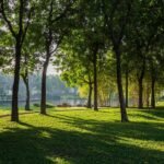 Celadon Tan Phu Apartments For Rent Near Airport HCMC Saigon Cribs (7) 1680x1050