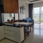 District 7 Budget Economy Apartment For Rent Saigon Cribs (1)