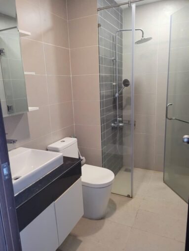 District 7 Budget Economy Apartment For Rent Saigon Cribs (6)