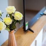 Duplex Apartment District 4 Downtown Ho Chi Minh City SaigonCribs.com (25) 1578x1050