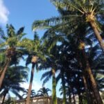 Long Form Tour Video.00 04 18 29.Still042 800x450