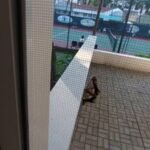 Long Form Tour Video.00 09 02 15.Still076 800x450