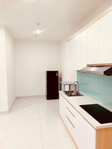 One Bedroom Saigon Cribs Apartment For Rent Ho Chi Minh City District 7 (4)