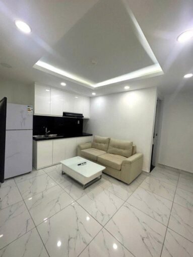 Saigon Cribs One Bedroom City Center Apartment Serviced (6) 450x600