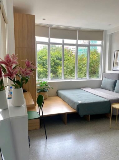 Saigon Cribs Studio Apartments (2)