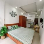 Studio Apartment For Rent District 3 Saigon Cribs (1)