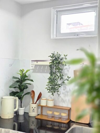 Studio Apartment Saigon Cribs Q11 (11)