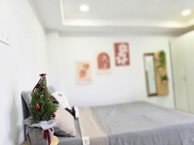 Studio Apartment Saigon Cribs Q11 (8)