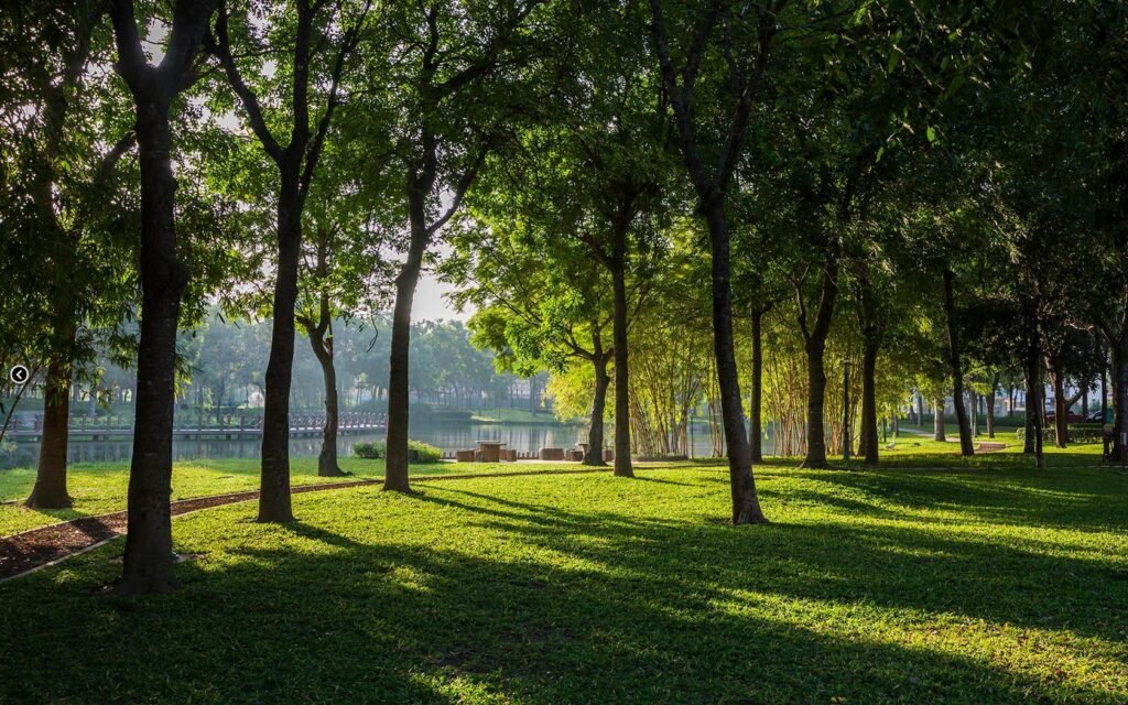 Celadon Tan Phu Apartments For Rent Near Airport HCMC Saigon Cribs (7) 1680x1050