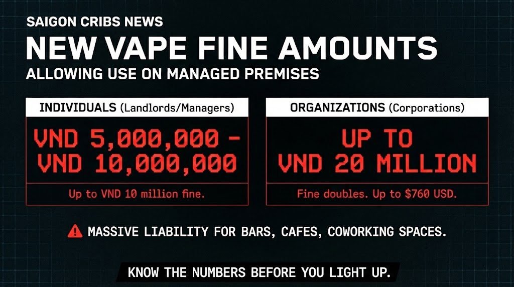 Fine amounts infographic