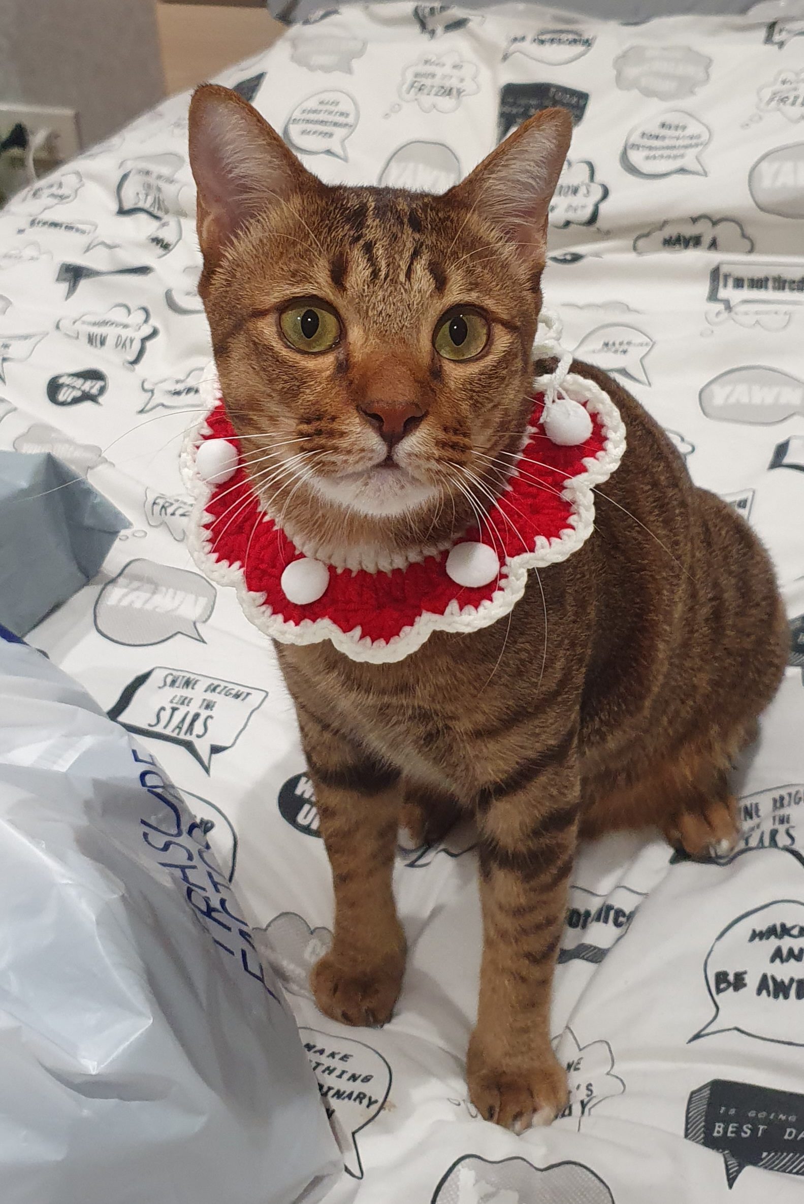 KitKat Christmas