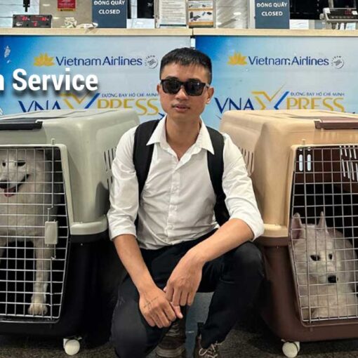 Pet Relocation Web Image