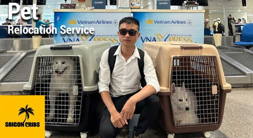Pet Relocation Web Image