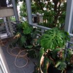 Full House Tour Saigon Cribs.00 02 48 10.Still020 1680x945